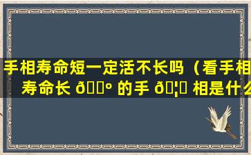 手相寿命短一定活不长吗（看手相寿命长 🌺 的手 🦄 相是什么样的）